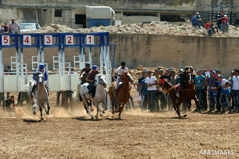 Palestinian jockeys ride their horses during a race in the West Bank city of Nablus on Aug 21, 2012. Hundreds of Palestinians from all over the West Bank gathered to follow the horse race on Tuesday in the northern West...