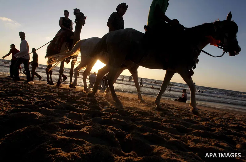 Palestinians ride horses at Gaza beach during Friday holiday in Gaza city, Aug 24, 2012. Gazans escape to the beach and out from their homes during heat wave and power outages. Photo by Ashraf Amra