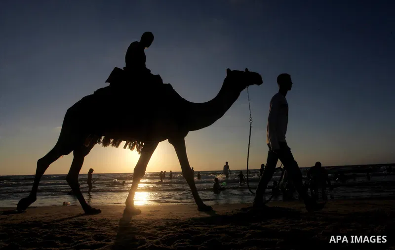 A Palestinian child ride a camel at Gaza beach during Friday holiday in Gaza city, Aug 24, 2012. Gazans escape to the beach and out from their homes during heat wave and power outages. Photo by Ashraf Amra