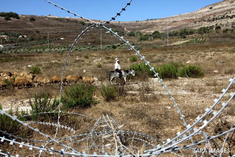A Palestinian bedouin man graze their sheeps near the Hawara checkpoint near the West Bank city of Nablus, on Sep. 03, 2012. Photo by Nedal Eshtayah