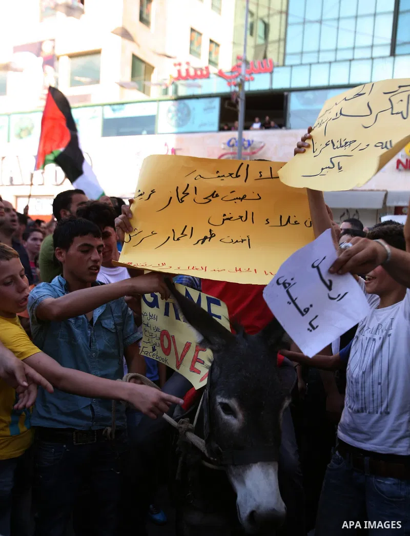 Palestinians call for Palestinian Prime Minister Salam Fayyad to step down as they demonstrate against the high and increasing cost of living, in a protest in the West Bank city of Hebron, 06 September 2012. Photo by Mam...