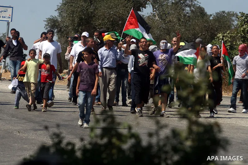 Palestinian youths wave their national flag during a protest against the confiscation of Palestinian land to expand Jewish settlements in the West Bank village of Nabi Saleh near Ramallah on Friday, Sept. 07, 2012. Photo...
