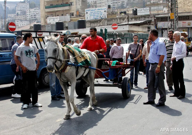 A Palestinian man rides a horse cart in a street cars during a protest against rising fuel prices and the high cost of living, in the West Bank city of Nablus, on Sep. 10, 2012. Photo by Nedal Eshtayah