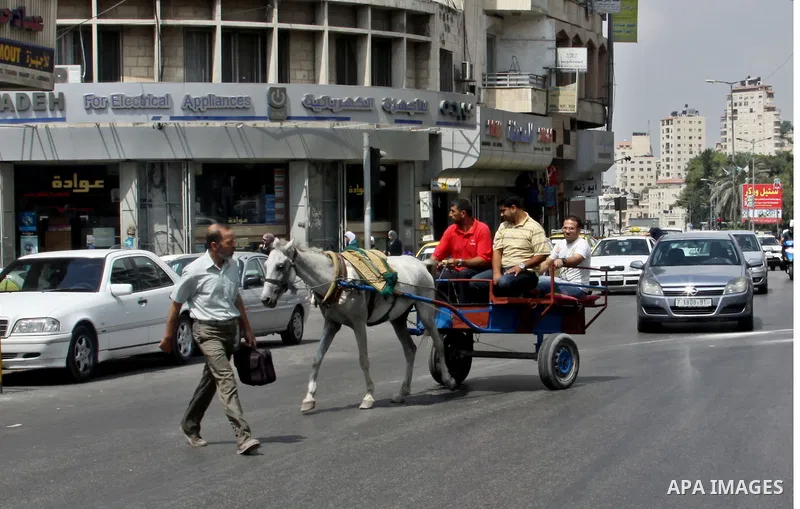 A Palestinian man rides a horse cart in a street cars during a protest against rising fuel prices and the high cost of living, in the West Bank city of Nablus, on Sep. 10, 2012. Photo by Nedal Eshtayah