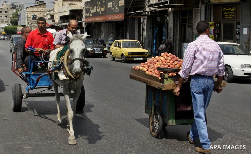A Palestinian man rides a horse cart in a street cars during a protest against rising fuel prices and the high cost of living, in the West Bank city of Nablus, on Sep. 10, 2012. Photo by Nedal Eshtayah