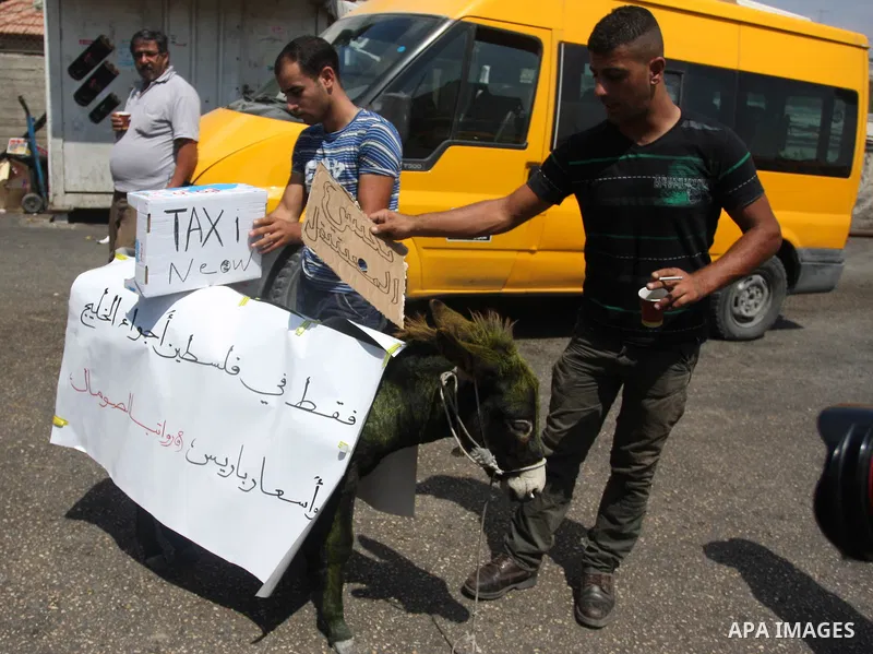 Palestinians ride a donkey and shout slogans during a protest against the high cost of living on September 10, 2012 in the West Bank city of Ramallah. Cities across the West Bank ground to a halt as transport unions call...