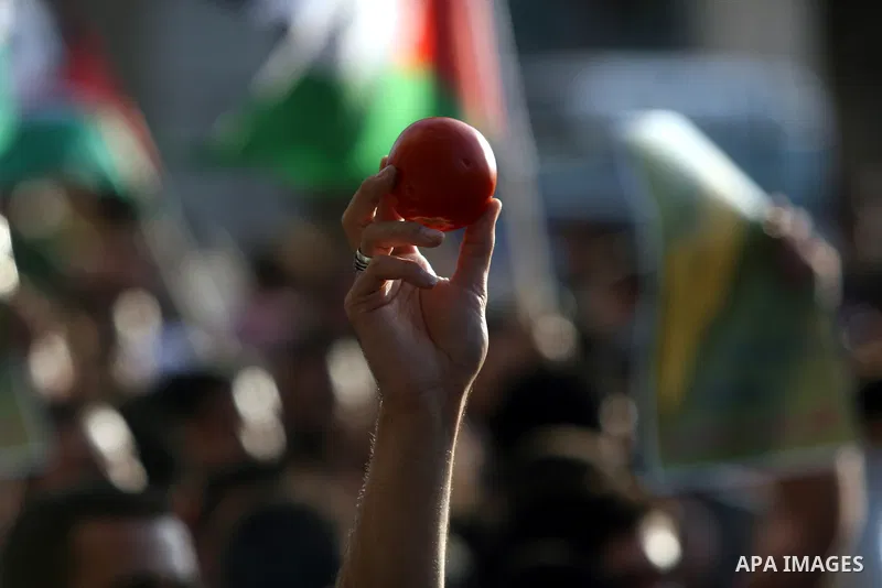 A Palestinian man holds an apple during a protest against the Paris Protocol and the Oslo Agreement, both key accords which govern economic ties between Palestinians and Israelis, in the West Bank city of Ramallah on Sep...