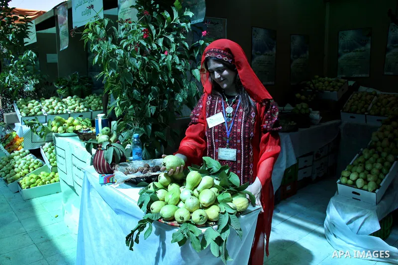 A Palestinian girl wears a traditional dress and displays guava fruits, during the guava festival in the West Bank city of Qalqilya, Sept. 17, 2012. Photo by Nedal Eshtayah