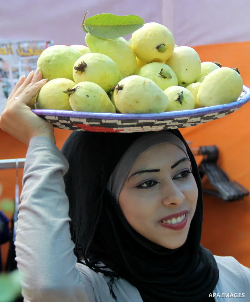 A Palestinian girl carries guava fruits, during the guava festival in the West Bank city of Qalqilya, Sept. 17, 2012. Photo by Nedal Eshtayah