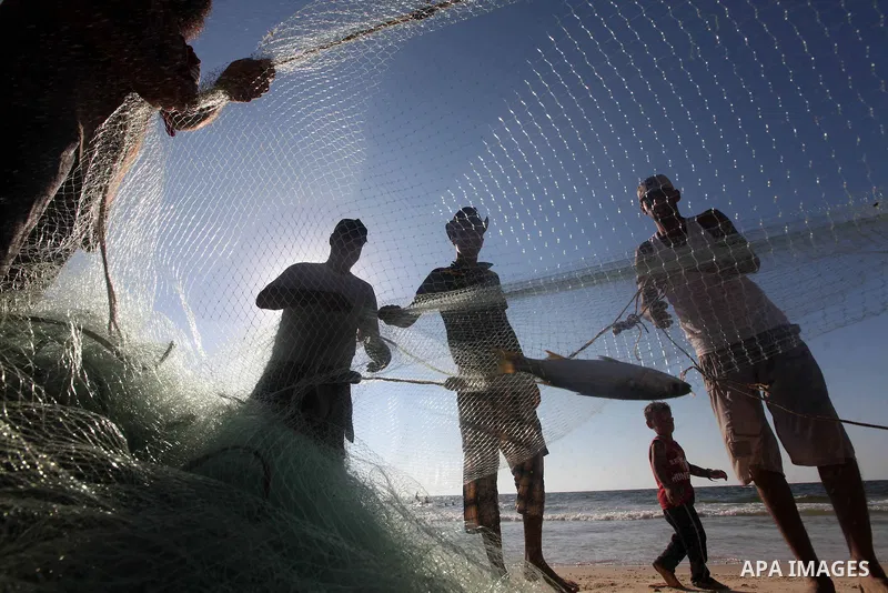 Palestinian fishers prepare to throw their trawl in the sea on the beach of Gaza city, Sept. 18, 2012 . Photo by Majdi Fathi