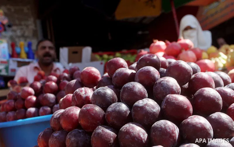 A Palestinian vendor displays grapes at a market in Gaza city, Sept. 23, 2012. The ministry of agriculture in Gaza government decided stop import fruits from Israel except apples and bananas to support the local fruits p...