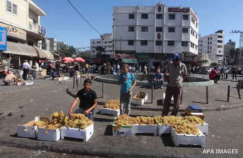 A Palestinian vendor displays grapes at a market in Gaza city, Sept. 23, 2012. The ministry of agriculture in Gaza government decided stop import fruits from Israel except apples and bananas to support the local fruits p...