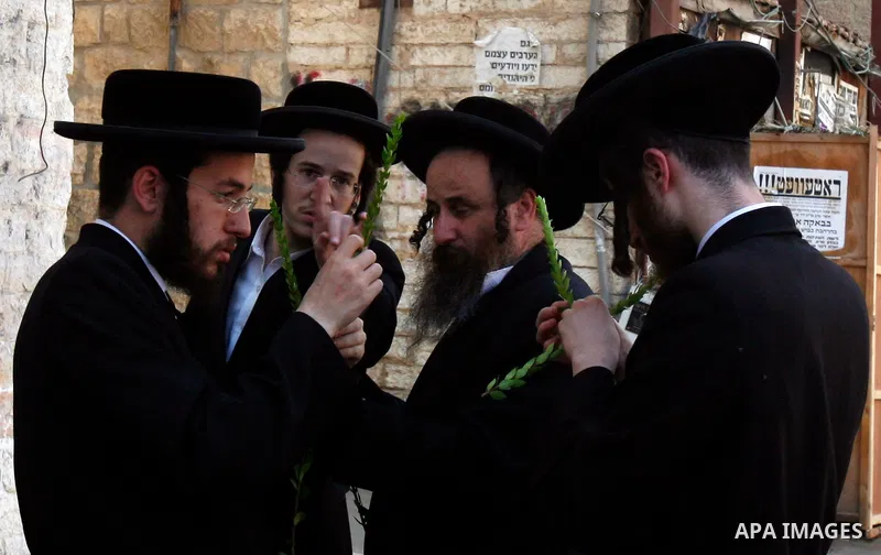 Ultra-Orthodox Jews men closely inspects the Hadas or Myrtle, one of four plants species used during the celebration of Sukkot, the Feast of the Tabernacles, in the ultra-Orthodox neighbourhood of Meah Shearim, in Jerusa...