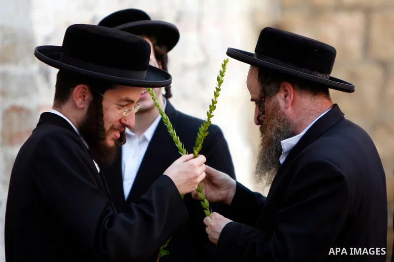 Ultra-Orthodox Jews men closely inspects the Hadas or Myrtle, one of four plants species used during the celebration of Sukkot, the Feast of the Tabernacles, in the ultra-Orthodox neighbourhood of Meah Shearim, in Jerusa...
