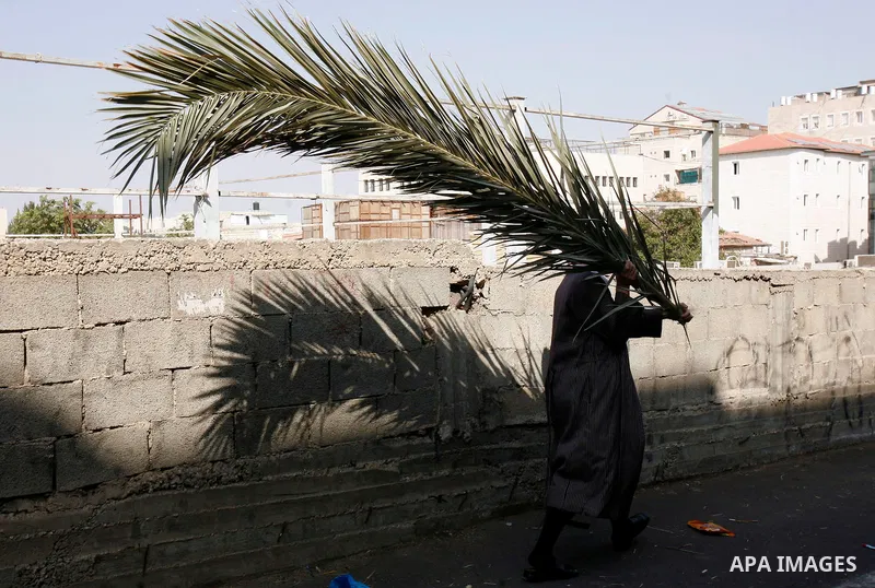 An Ultra-Orthodox Jewish man carry palm fronds during the preparation for the celebration of Sukkot, the Feast of the Tabernacles, in the ultra-Orthodox neighbourhood of Meah Shearim, in Jerusalem on September 28, 2012....