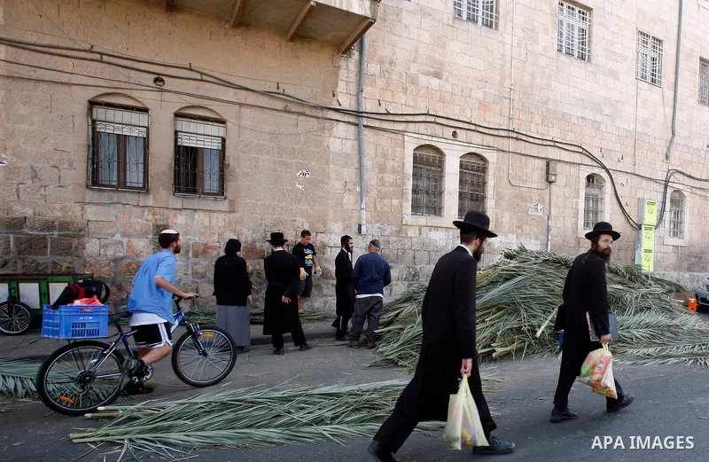 Jews inspect palm fronds during the preparation for the celebration of Sukkot, the Feast of the Tabernacles, in the ultra-Orthodox neighbourhood of Meah Shearim, in Jerusalem on September 28, 2012. The Sukkot feast begin...