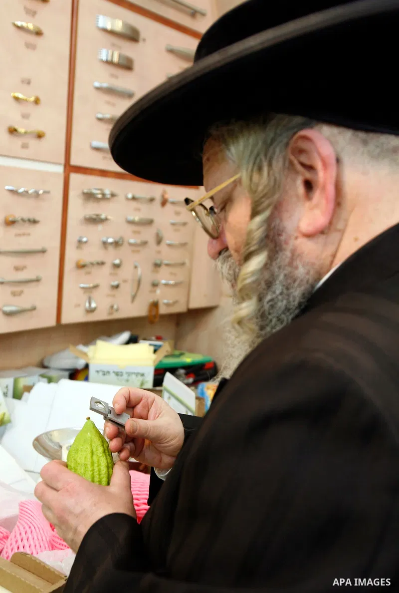 An ultra-Orthodox Jewish man uses a magnifying glass to check an etrog, one of four plants species used during the celebration of Sukkot, the Feast of the Tabernacles, in the ultra-Orthodox neighbourhood of Meah Shearim,...