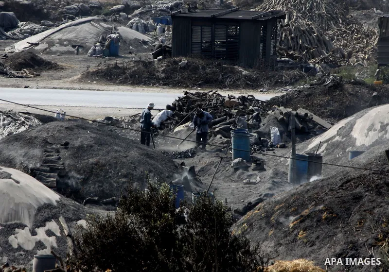 Palestinian workers collect a coal at a work field in the village in the city of Jenin on Sep. 30, 2012. Photo by Nedal Eshtayah