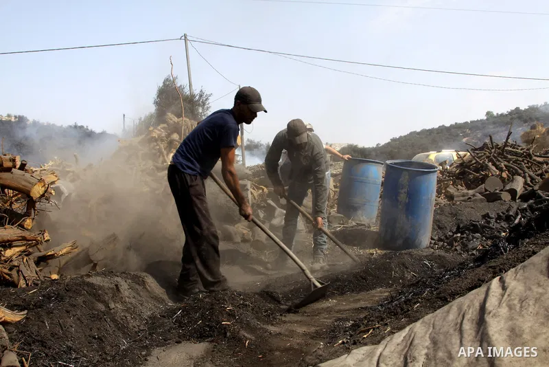 Palestinian workers collect a coal at a work field in the village in the city of Jenin on Sep. 30, 2012. Photo by Nedal Eshtayah