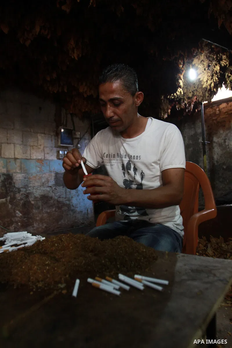 A Palestinian farmer stuffs Arabic tobacco into cigarettes at a farm in the West Bank village Yaabed, near Jenin, on Oct. 8, 2012. Arabic Tobacco cigarettes manufacturing is famous in Yaabed village which produce a quali...