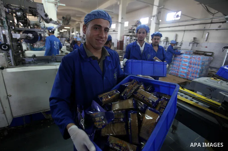 Palestinian workers quality control biscuits at the al-Awda factory in Deir al-Balah, in the central Gaza strip, on October 10, 2012. The World Food Program (WFP) will export the biscuits to United Nation run schools in...