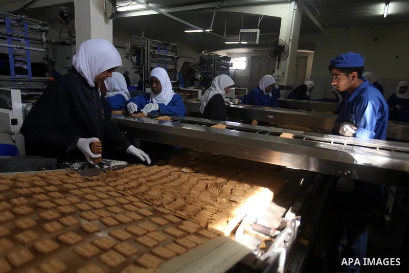 Palestinian workers quality control biscuits at the al-Awda factory in Deir al-Balah, in the central Gaza strip, on October 10, 2012. The World Food Program (WFP) will export the biscuits to United Nation run schools in...