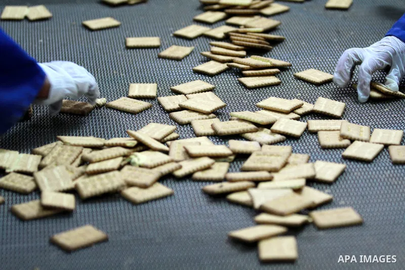 Palestinian workers quality control biscuits at the al-Awda factory in Deir al-Balah, in the central Gaza strip, on October 10, 2012. The World Food Program (WFP) will export the biscuits to United Nation run schools in...