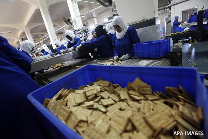 Palestinian workers quality control biscuits at the al-Awda factory in Deir al-Balah, in the central Gaza strip, on October 10, 2012. The World Food Program (WFP) will export the biscuits to United Nation run schools in...