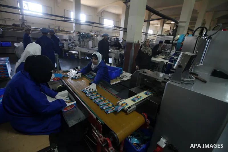 Palestinian workers quality control biscuits at the al-Awda factory in Deir al-Balah, in the central Gaza strip, on October 10, 2012. The World Food Program (WFP) will export the biscuits to United Nation run schools in...