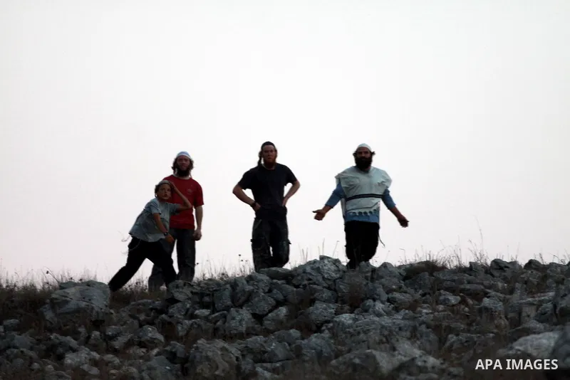 Israeli settlers from Bracha settlement throw stones at Palestinian farmers from the West Bank village of Burin, north of Nablus, during clashes on October 10, 2012. Over 100 olive trees belonging to Palestinians in a We...
