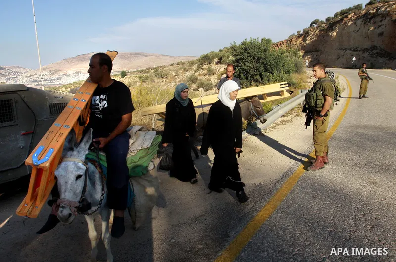Israeli soldiers guard as Palestinians make their way to harvest olive trees on the outskirts of the West Bank village of Salem, near the Jewish settlement of Elone Moreh, east of Nablus October 11, 2012. Photo by Nedal...