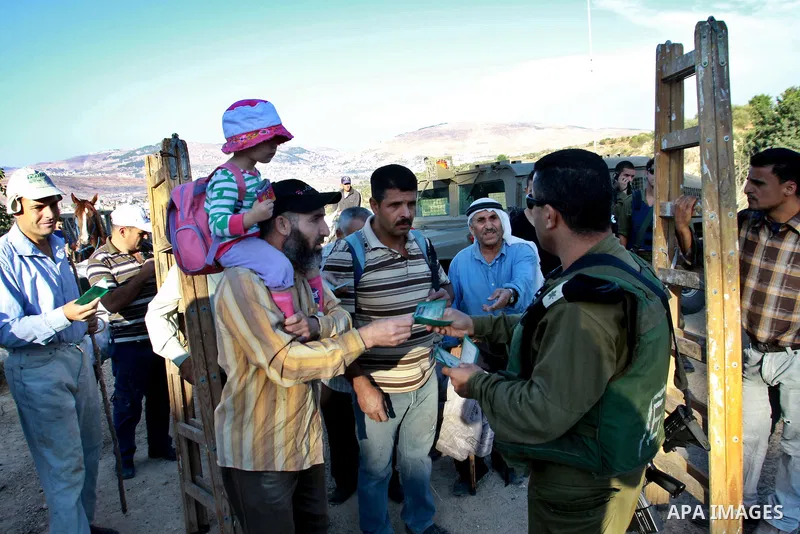 Israeli soldiers check Palestinians Identities as they make their way to harvest olive trees on the outskirts of the West Bank village of Salem, near the Jewish settlement of Elone Moreh, east of Nablus October 11, 2012....