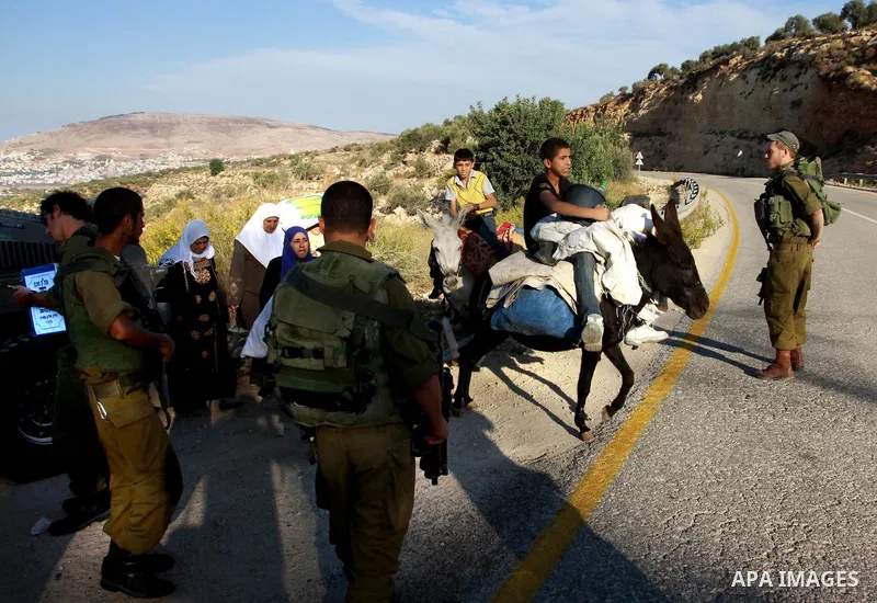 Israeli soldiers guard as Palestinians make their way to harvest olive trees on the outskirts of the West Bank village of Salem, near the Jewish settlement of Elone Moreh, east of Nablus October 11, 2012. Photo by Nedal...