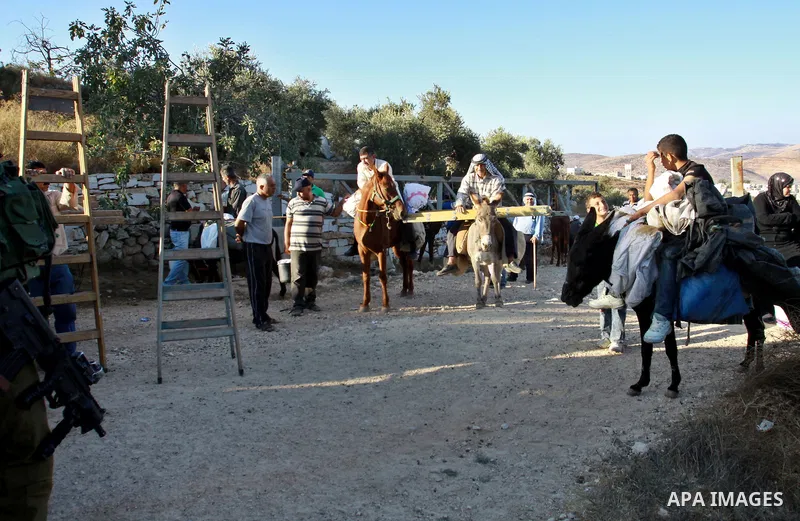 Israeli soldiers guard as Palestinians make their way to harvest olive trees on the outskirts of the West Bank village of Salem, near the Jewish settlement of Elone Moreh, east of Nablus October 11, 2012. Photo by Nedal...