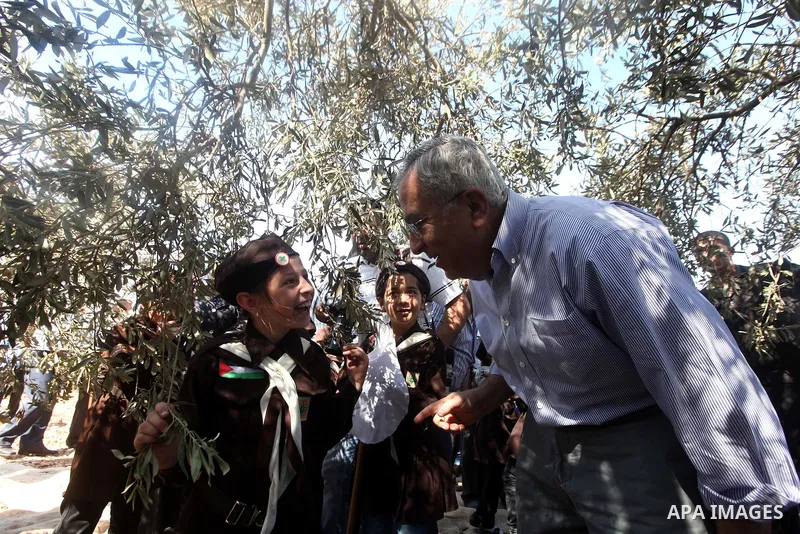 Palestinian Prime Minister Salam Fayyad attends the opening of olive harvest season in the village of Jayyous in the West Bank city of Qalqilya,11 October 2012. Photo by Mustafa Abu Dayeh