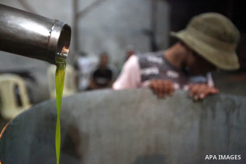 Palestinian workers produce olive oil in the olive press in Gaza city on Oct. 12,2012 during the olive harvesting season. Agriculture is a major sector of the Palestinian economy, employing a large part Palestinians. Pho...