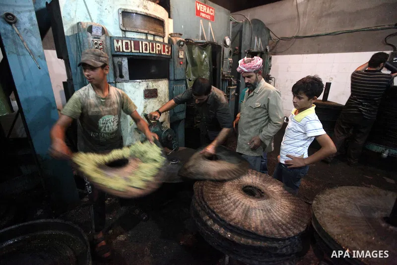 Palestinian workers produce olive oil in the olive press in Gaza city on Oct. 12,2012 during the olive harvesting season. Agriculture is a major sector of the Palestinian economy, employing a large part Palestinians. Pho...