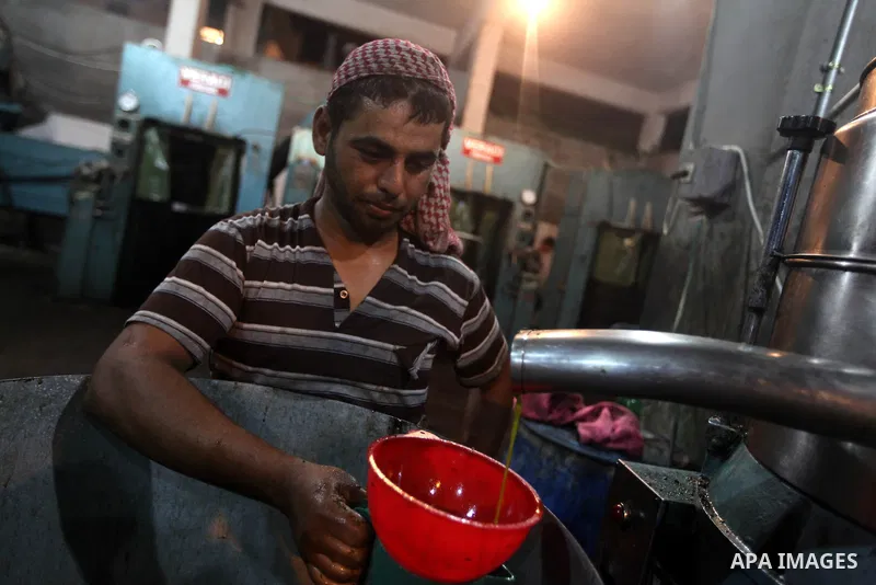 A Palestinian worker checked the quality of olive oil after it was extracted from an olive press in Gaza City on Oct. 12, 2012. Agriculture is a major sector of the Palestinian economy, employing a large part Palestinian...