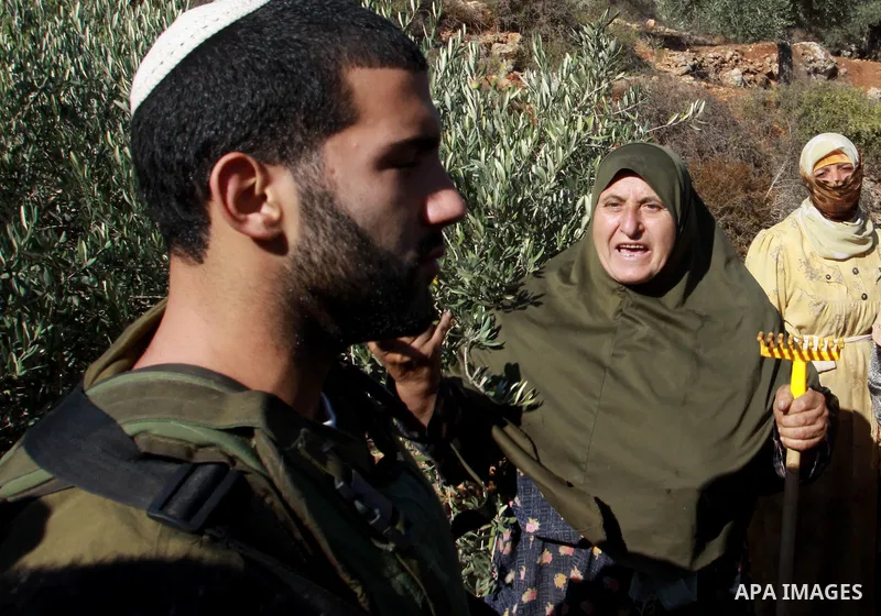 Palestinian farmers from the village of Qaryut inspects the remains of his olive trees on October 13, 2012, after they were uprooted overnight, in settlement Eilih near the southern West Bank city of Nablus, in an attack...
