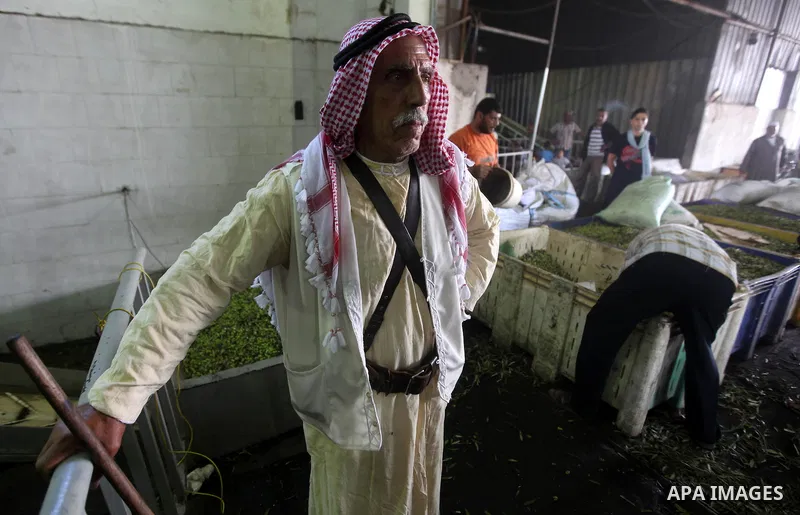 Palestinian men work in an olive oil factory in Gaza City on Oct 16,2012. A staple for many local farmers, preparing them for ready to eat consumption and to make olive oil. Both family farms and factories, employing loc...