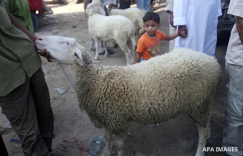 Palestinians trade goats at a local cattle market ahead of Muslim festival of Eid al-Adha, in Gaza city, on October 19, 2012. Muslims around the world prepare to celebrate Eid Al-Adha, which according to the lunar calend...