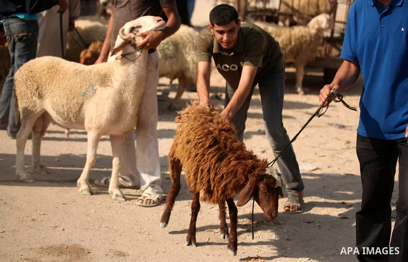 Palestinians trade goats at a local cattle market ahead of Muslim festival of Eid al-Adha, in Gaza city, on October 19, 2012. Muslims around the world prepare to celebrate Eid Al-Adha, which according to the lunar calend...