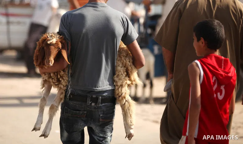 Palestinians trade goats at a local cattle market ahead of Muslim festival of Eid al-Adha, in Gaza city, on October 19, 2012. Muslims around the world prepare to celebrate Eid Al-Adha, which according to the lunar calend...