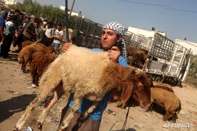 Palestinians trade goats at a local cattle market ahead of Muslim festival of Eid al-Adha, in Gaza city, on October 19, 2012. Muslims around the world prepare to celebrate Eid Al-Adha, which according to the lunar calend...