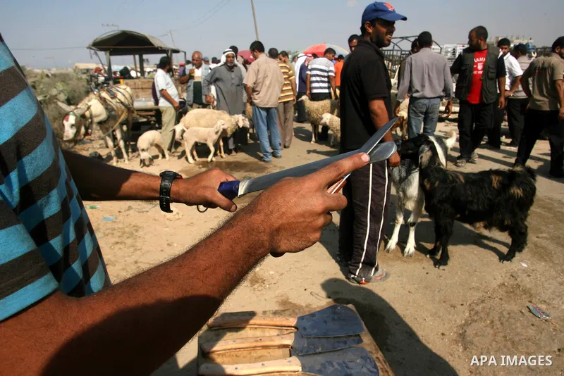 Palestinians trade goats at a local cattle market ahead of Muslim festival of Eid al-Adha, in Rafah in southern Gaza city, on October 20, 2012. Muslims around the world prepare to celebrate Eid Al-Adha, which according t...