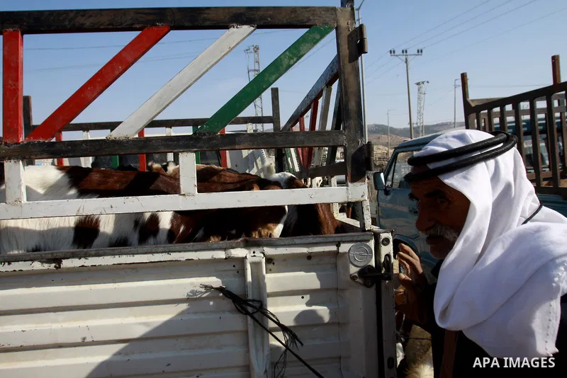 Palestinians trade goats at a local cattle market ahead of Muslim festival of Eid al-Adha, in the West Bank city of Nablus, on October 22, 2012. Muslims around the world prepare to celebrate Eid Al-Adha, which according...