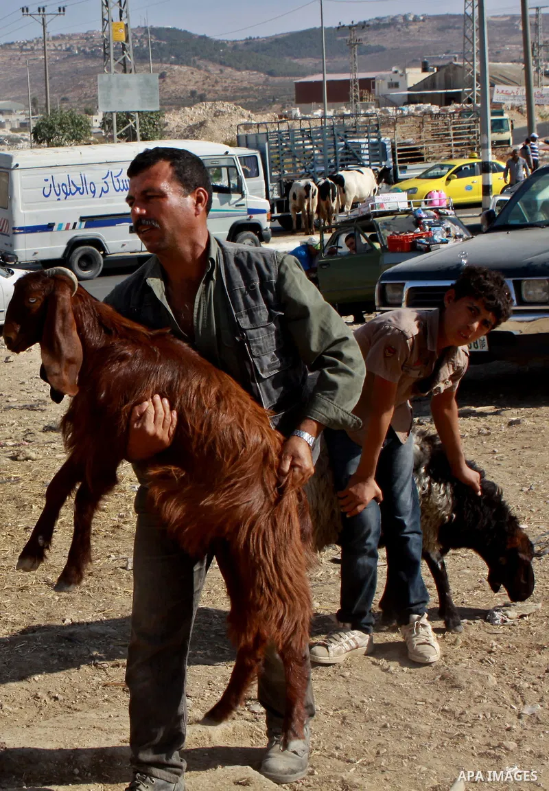 Palestinians trade goats at a local cattle market ahead of Muslim festival of Eid al-Adha, in the West Bank city of Nablus, on October 22, 2012. Muslims around the world prepare to celebrate Eid Al-Adha, which according...