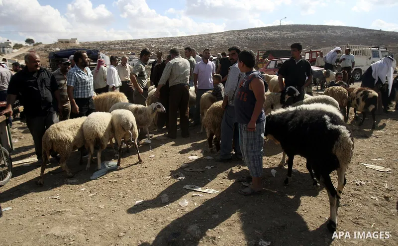 Palestinians trade goats at a local cattle market ahead of Muslim festival of Eid al-Adha, in the West Bank city of Nablus, on October 25, 2012. Muslims around the world prepare to celebrate Eid Al-Adha, which according...