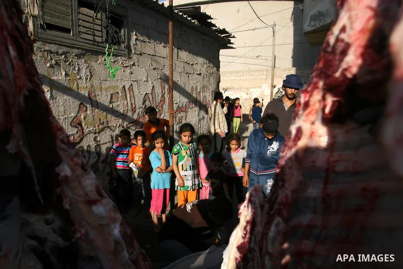 Palestinians slaughter a calf and sheep on the first day of the Muslim holiday of Eid al-Adha in Rafah in the southern Gaza Strip Oct. 26, 2012. Muslims around the world celebrate Eid al-Adha to mark the end of the haj b...