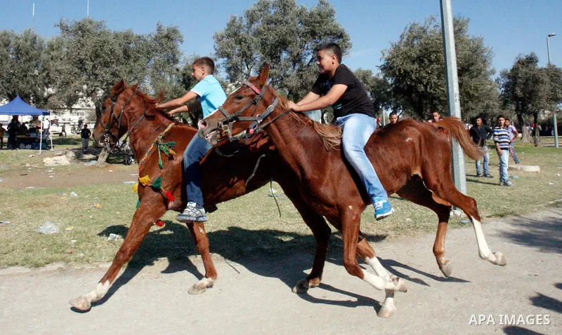 Palestinian youths enjoy ride horses during the third day of Eid al-Adha in Jerusalem city on 28 October 2012. Eid al-Adha, or the Feast of the Sacrifice, is celebrated to commemorate the Prophet Ibrahim's (Prophet Abrah...